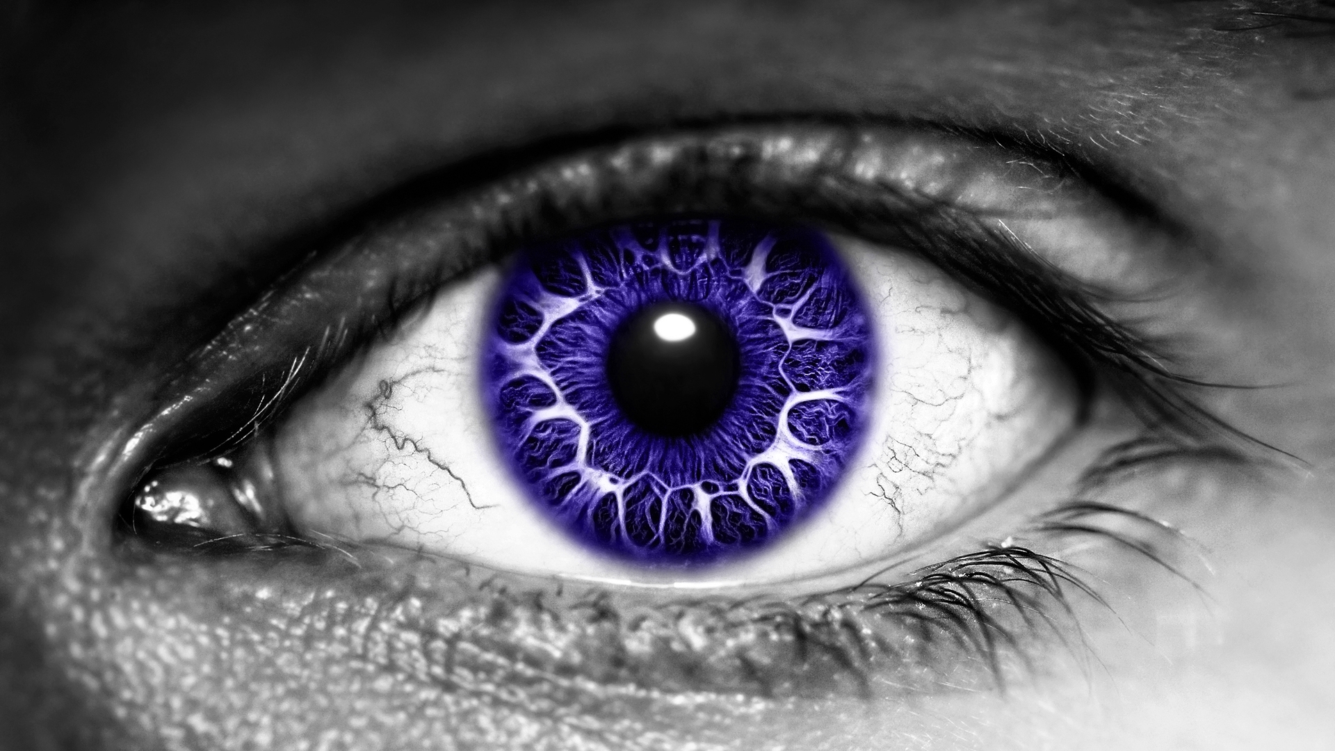 eyes, purple, selective coloring - desktop wallpaper