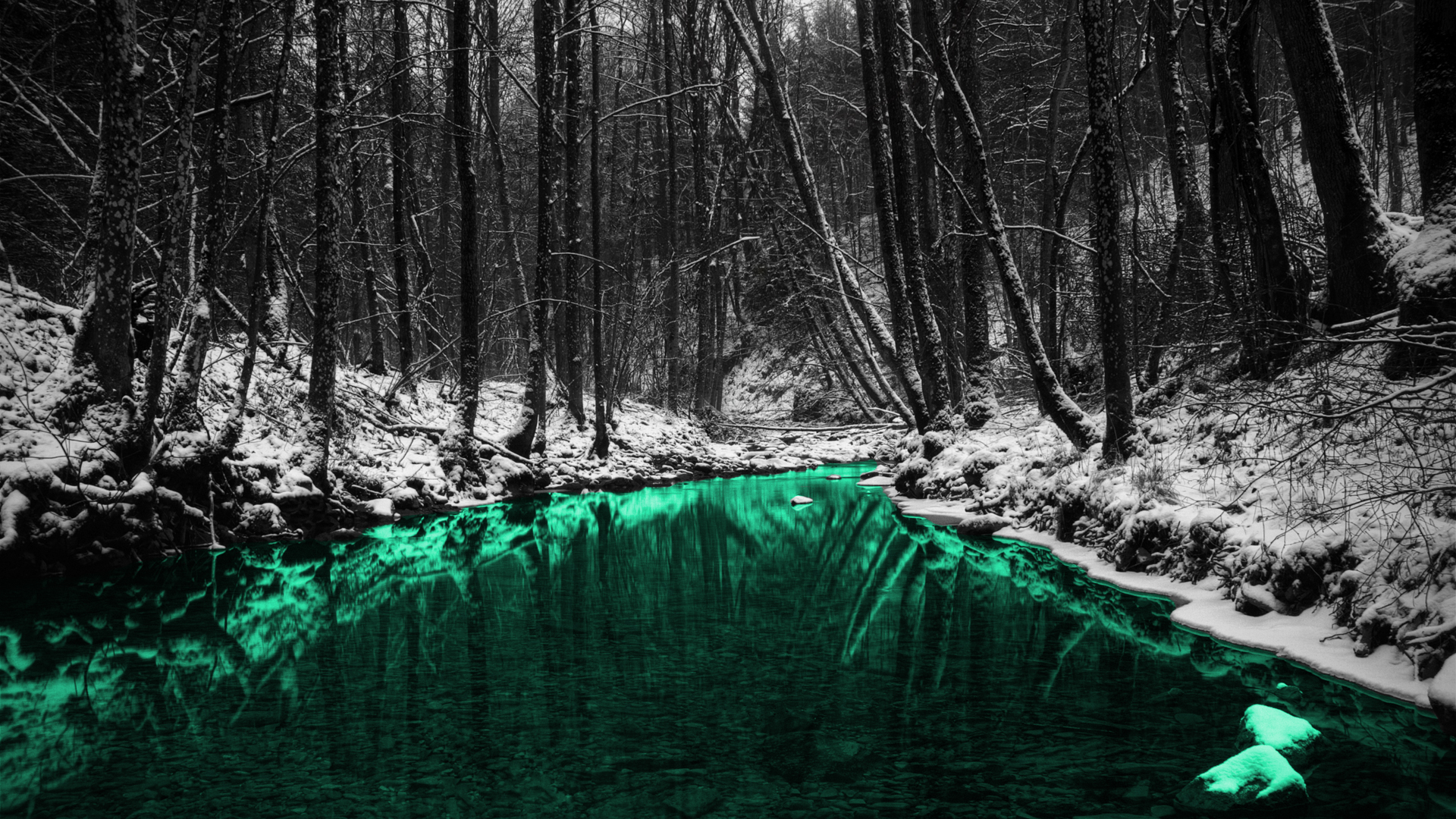 green, nature, forests, outdoors, selective coloring, rivers - desktop wallpaper
