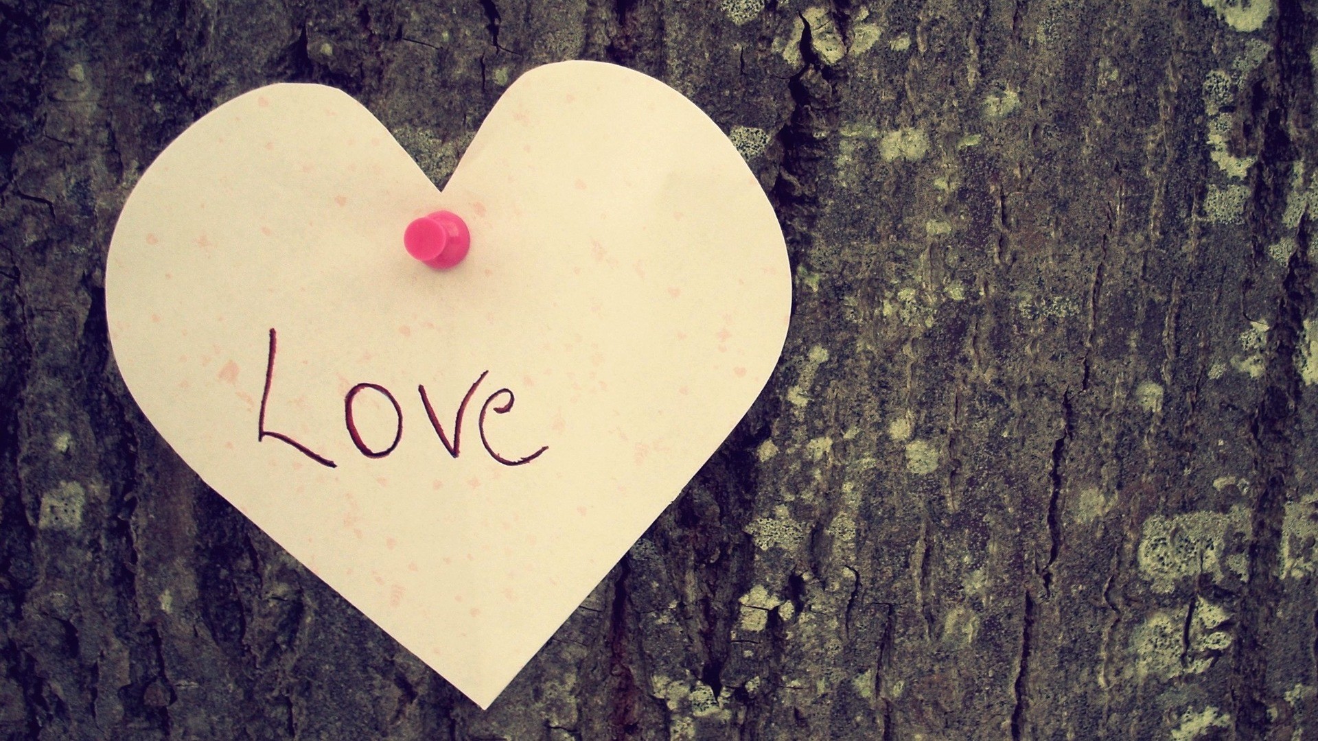 love, trees, hearts - desktop wallpaper