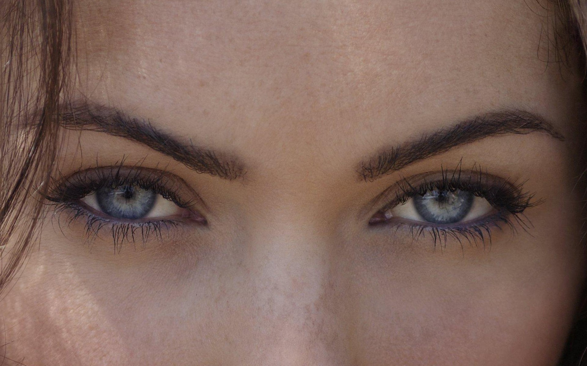 brunettes, women, close-up, eyes, Megan Fox, blue eyes, actress, celebrity - desktop wallpaper
