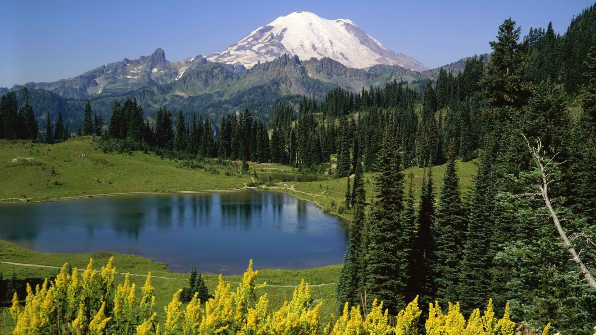 mountains, landscapes, trees, lakes, National Park, Mount Rainier, Washington State - desktop wallpaper