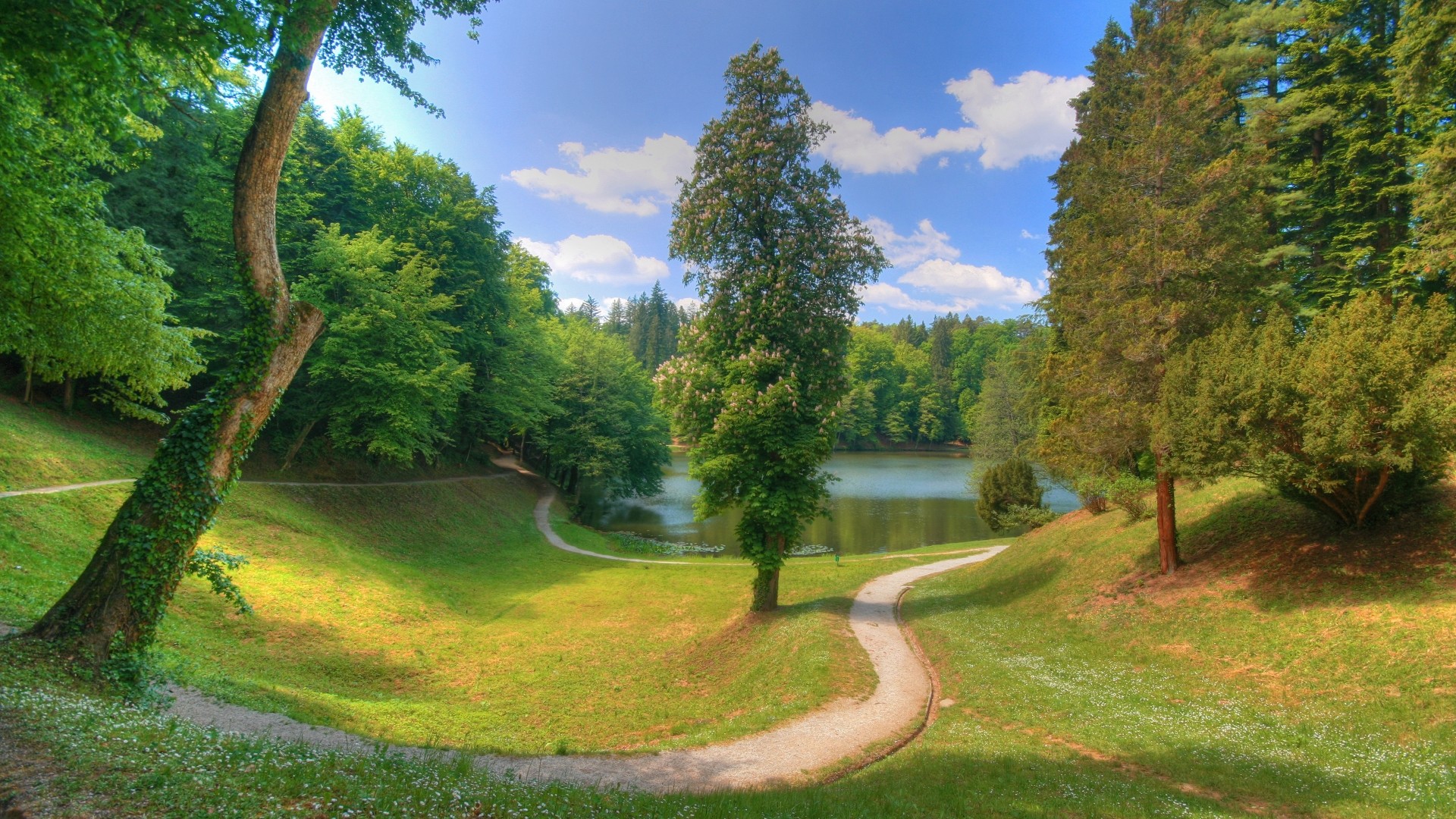 landscapes, nature, trees, grass, paths, lakes - desktop wallpaper