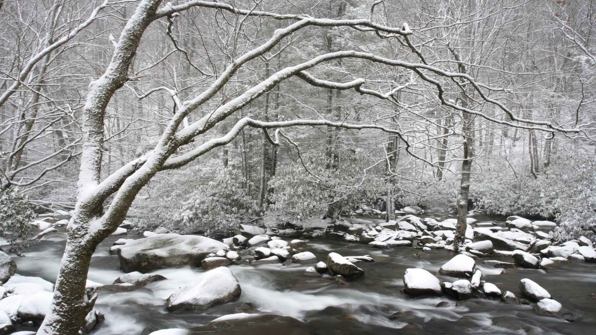 mountains, winter, Tennessee, National Park - desktop wallpaper