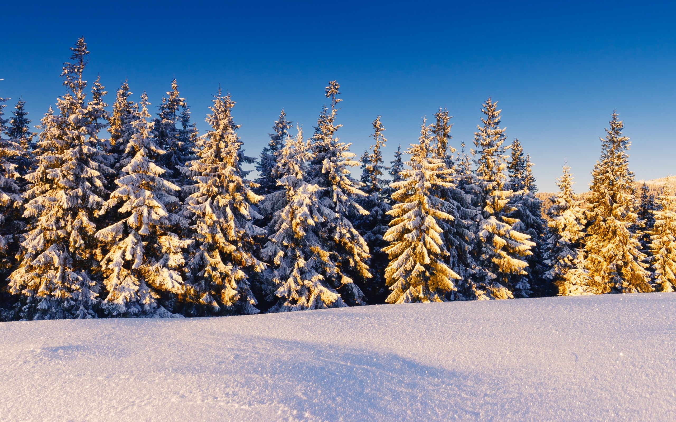 landscapes, nature, winter, snow, trees, snow landscapes - desktop wallpaper