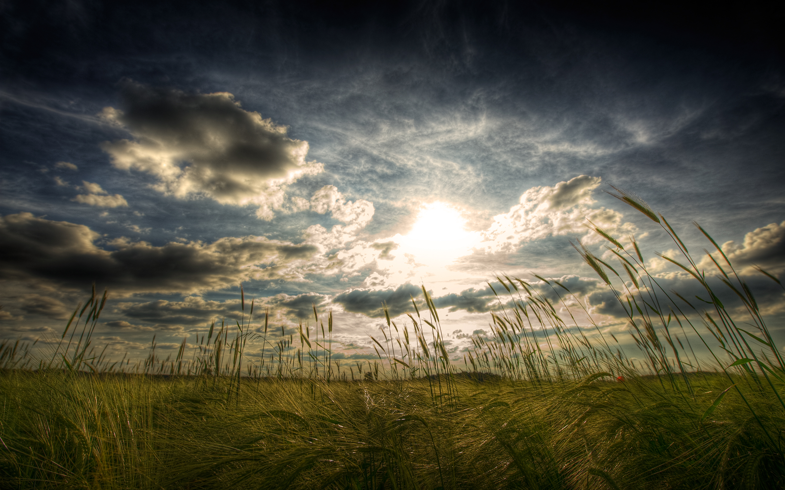 clouds, landscapes, nature, fields, HDR photography - desktop wallpaper