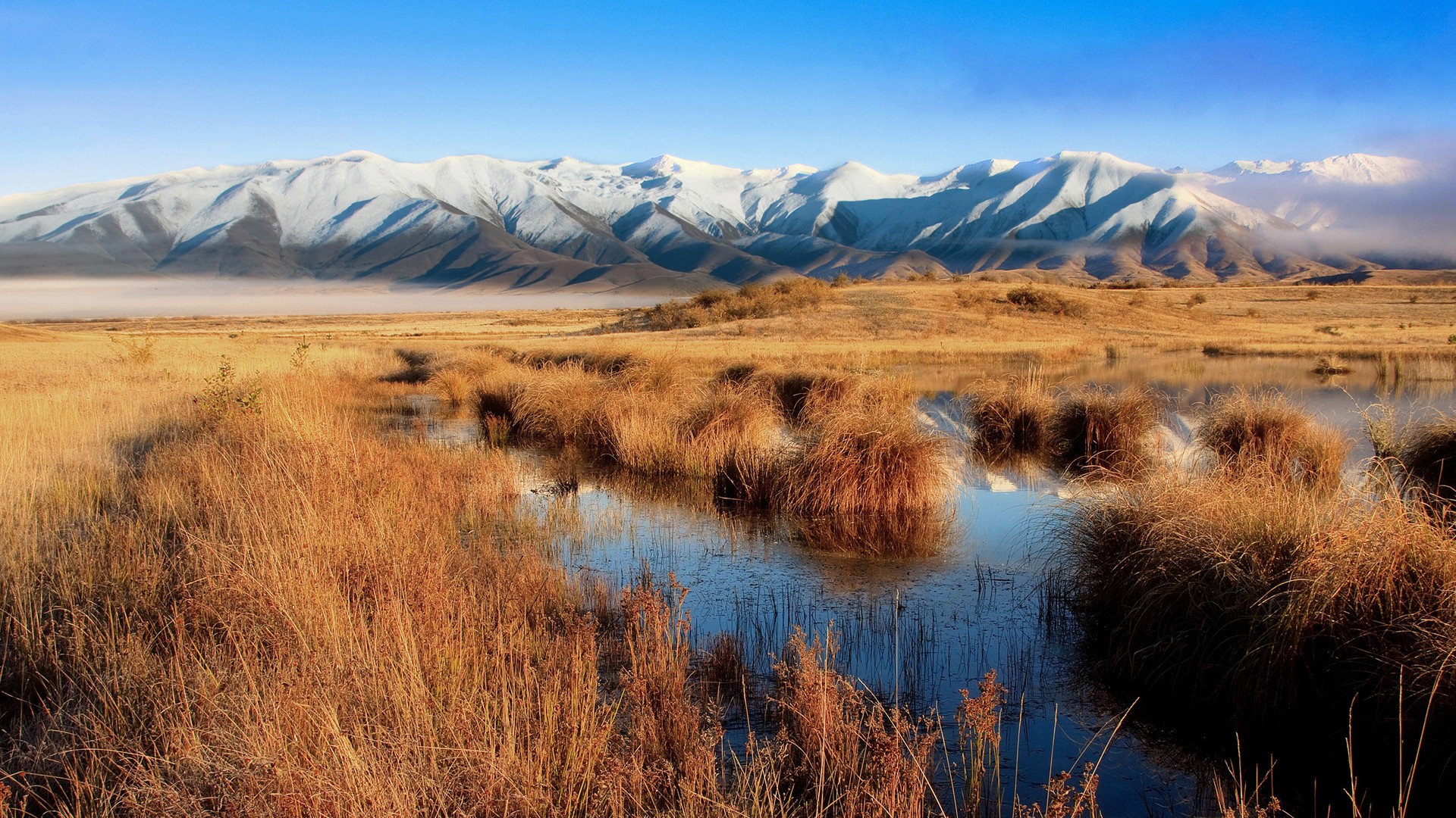 mountains, landscapes, nature, New Zealand, swamp - desktop wallpaper