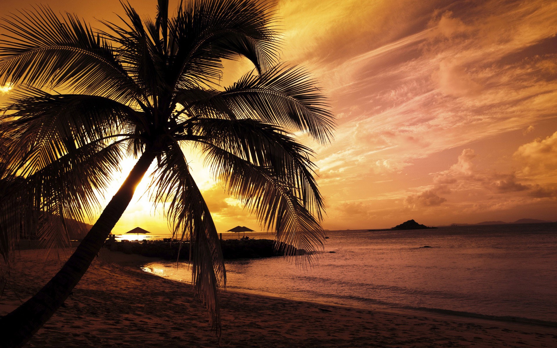 ocean, clouds, nature, trees, outdoors, palm trees, skyscapes, sea, beaches - desktop wallpaper