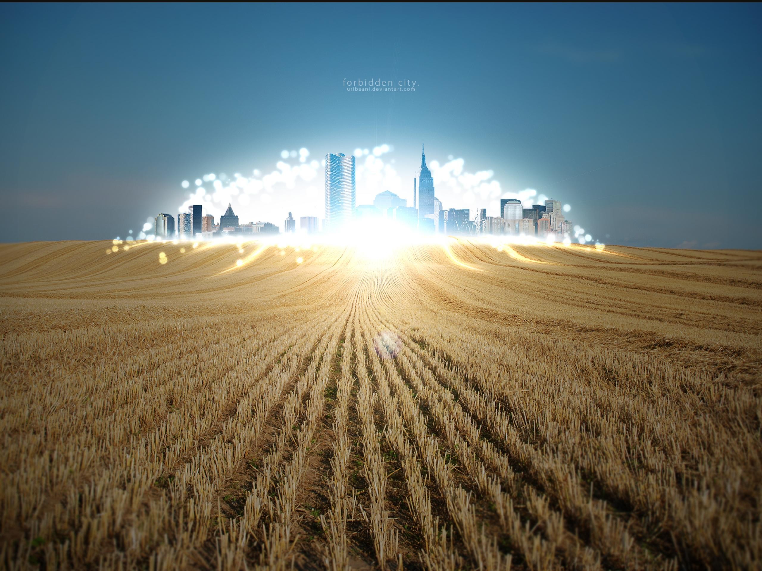 light, nature, cityscapes, fields, wheat, city lights - desktop wallpaper