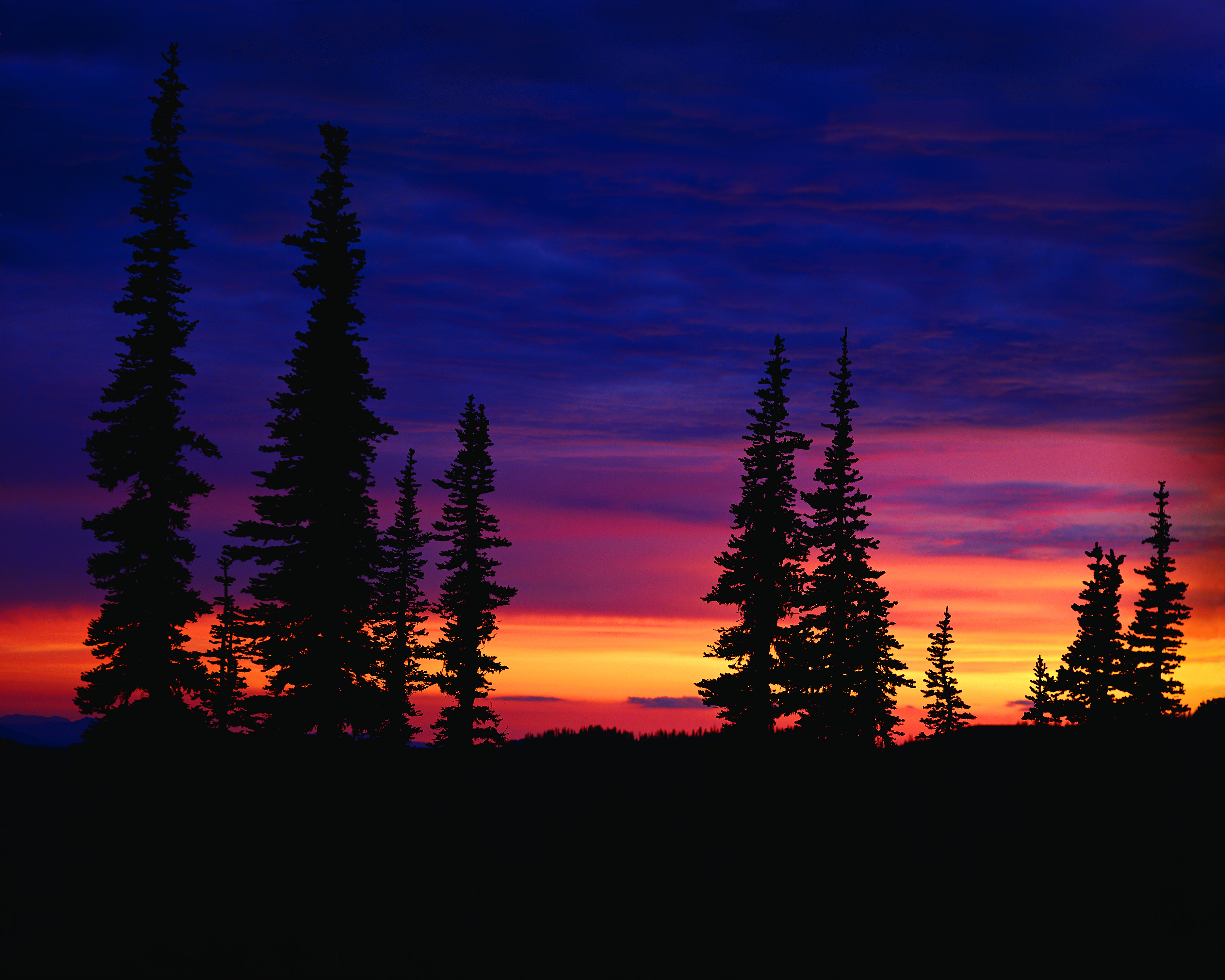 sunset, landscapes, trees - desktop wallpaper