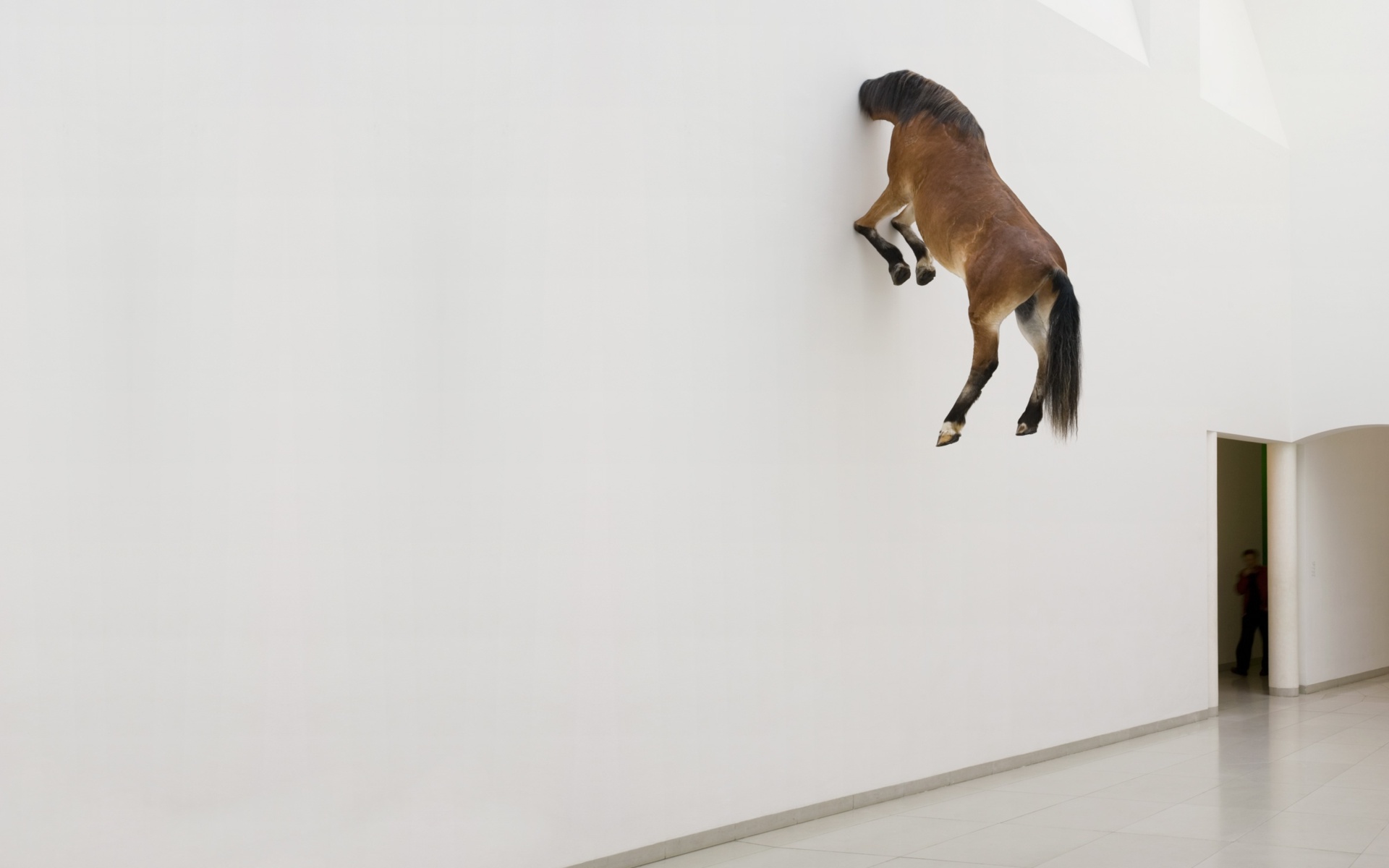 wall, horses, artwork - desktop wallpaper