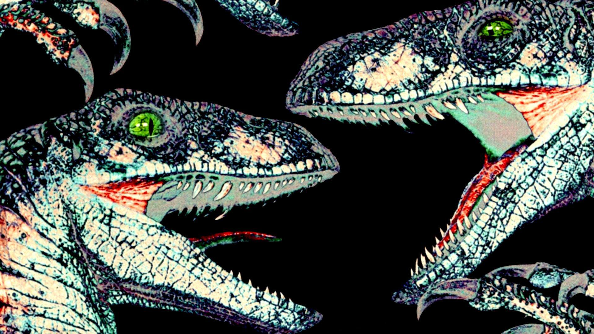 dinosaurs, velociraptor, Jurassic Park - desktop wallpaper