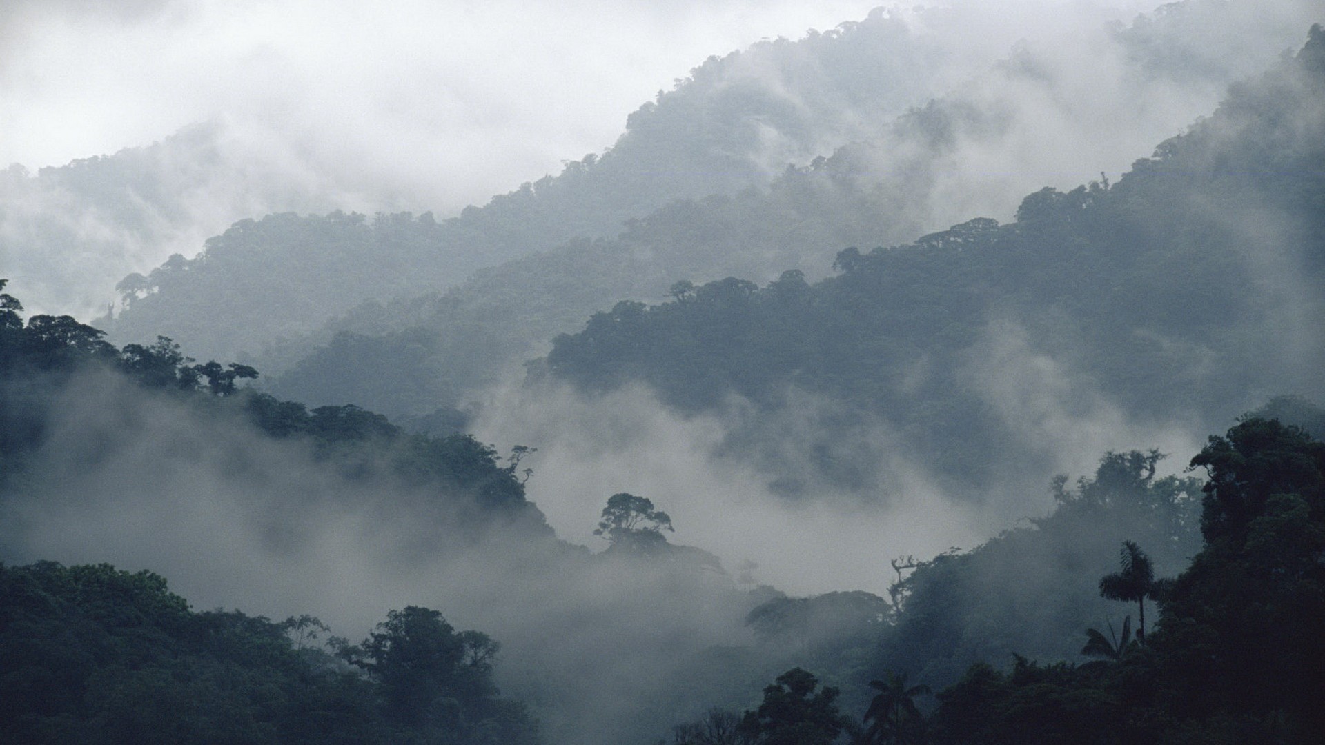 mountains, landscapes, fog, mist - desktop wallpaper