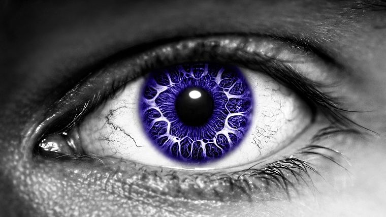 eyes, purple, selective coloring - desktop wallpaper