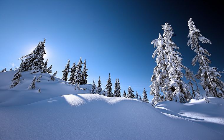 landscapes, winter, snow, trees - desktop wallpaper