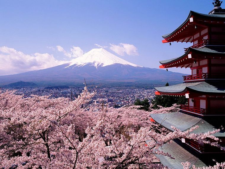 Japan, Mount Fuji, cherry blossoms, pagodas, Chureito Pagoda - desktop wallpaper