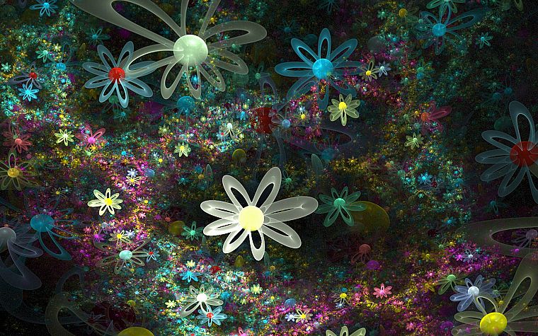 flowers - desktop wallpaper