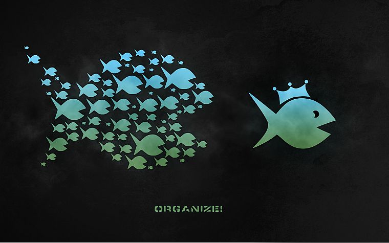 Big Fish - desktop wallpaper