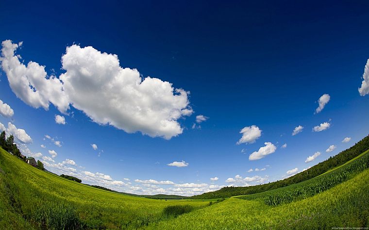 clouds, landscapes, fields, fisheye effect - desktop wallpaper