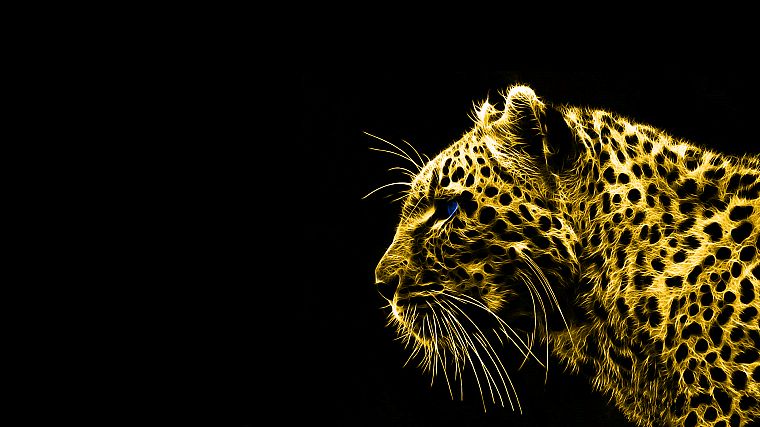 animals, Fractalius, gold, leopards, black background - desktop wallpaper