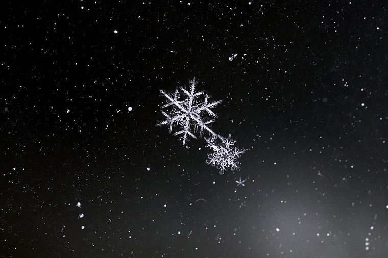 snowflakes, black background - desktop wallpaper