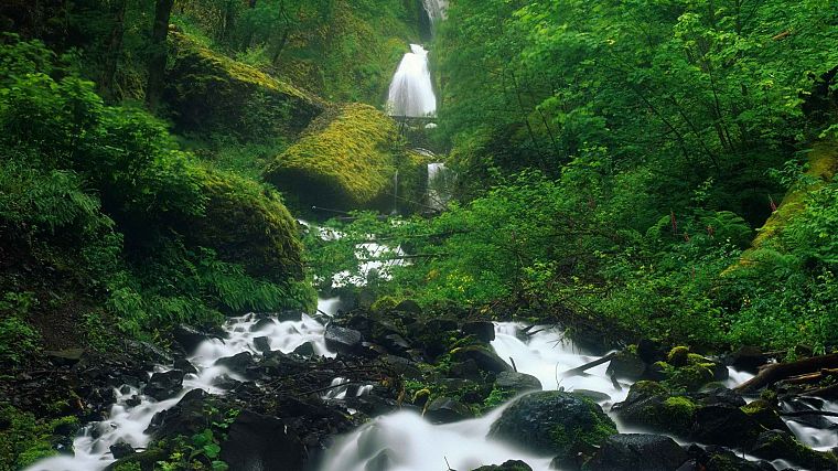 nature, falls, Oregon, waterfalls, rivers - desktop wallpaper