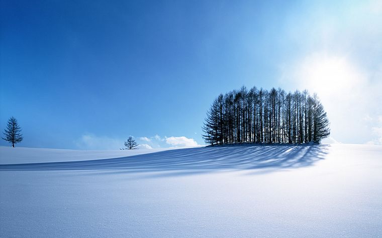 landscapes, snow, trees, snow landscapes - desktop wallpaper