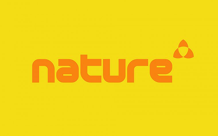 nature, yellow, typography, Wipeout - desktop wallpaper