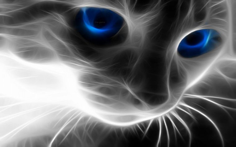 cats, Fractalius - desktop wallpaper