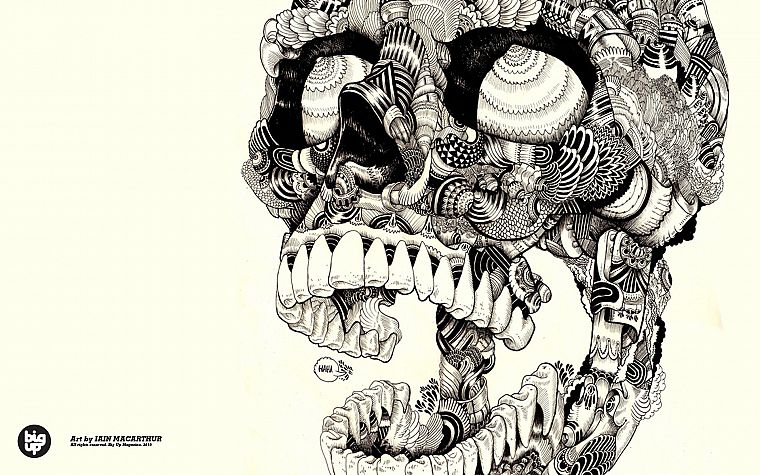 skulls, artwork, sugar skulls - desktop wallpaper