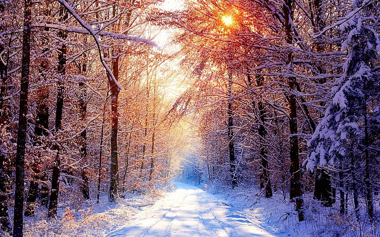 winter, snow, trees, TV shows - desktop wallpaper