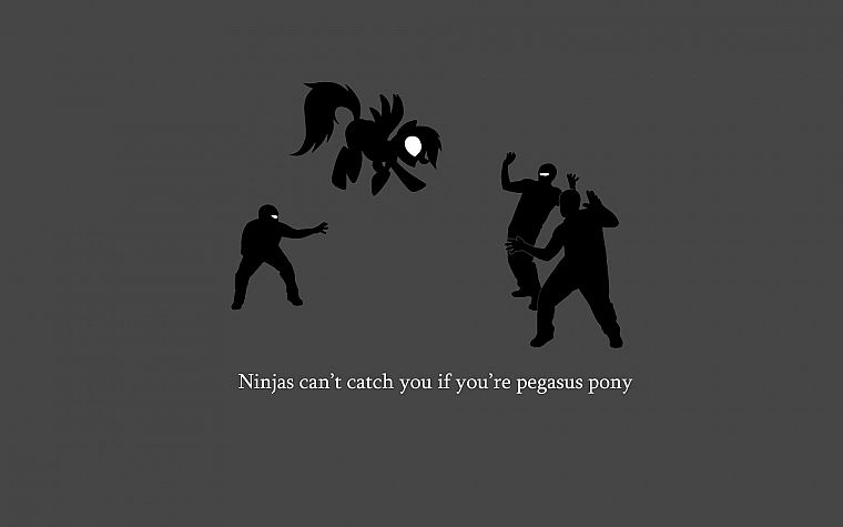 ninjas, ninjas cant catch you if, pegasus, My Little Pony, Rainbow Dash - desktop wallpaper