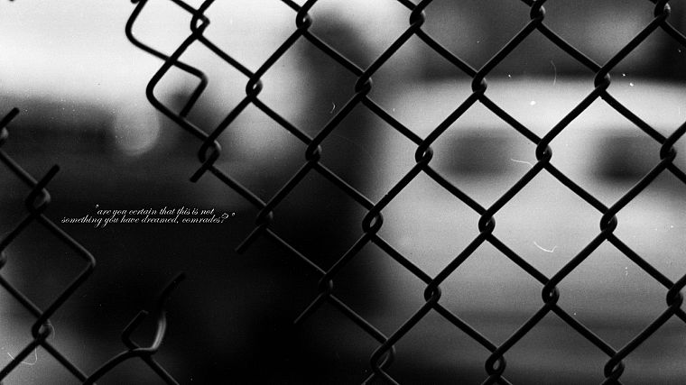text, quotes, grayscale, chain link fence, comrade - desktop wallpaper