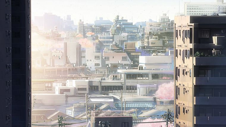 Makoto Shinkai, 5 Centimeters Per Second - desktop wallpaper