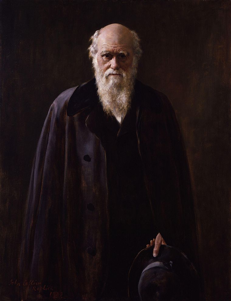 paintings, scientists, Charles Darwin - desktop wallpaper