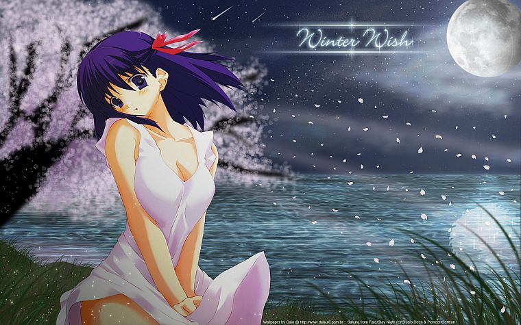 Fate/Stay Night, Matou Sakura, anime girls, Fate series - desktop wallpaper