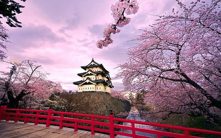 Japan, castles, cherry blossoms, pink, houses, japanese bridge, Hirosaki Castle - desktop wallpaper
