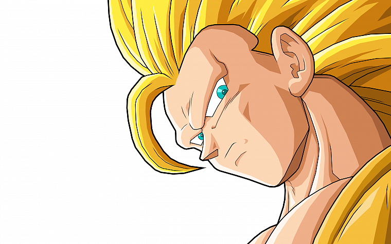 Son Goku, anime, Dragon Ball Z, simple background - desktop wallpaper