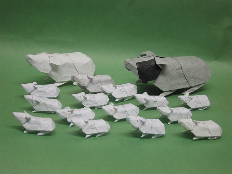 paper, origami, guinea pigs, guinea pig - desktop wallpaper