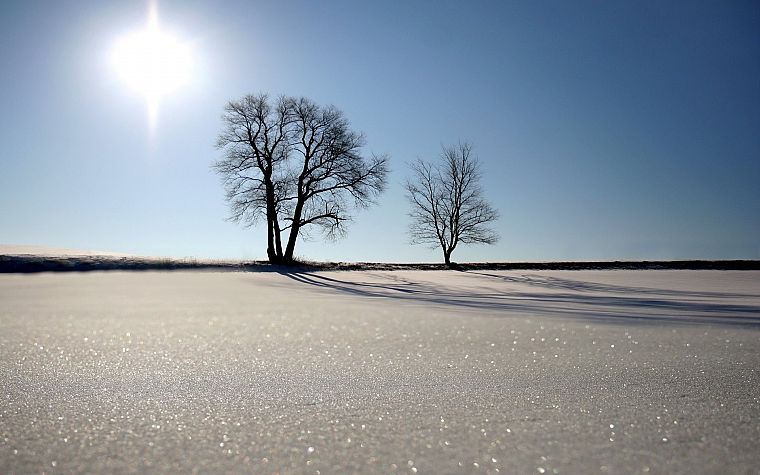 landscapes, winter, snow, Sun, trees, sunlight, blue skies - desktop wallpaper