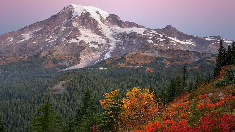 sunrise, paradise, National Park, Washington, Mount - desktop wallpaper