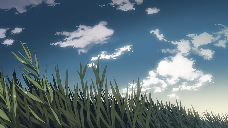 grass, animated, Makoto Shinkai, 5 Centimeters Per Second, drawn, skyscapes - desktop wallpaper