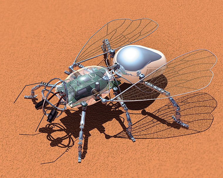 robot, insects - desktop wallpaper