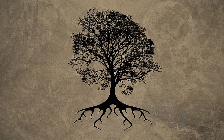 trees, silhouettes, roots - desktop wallpaper