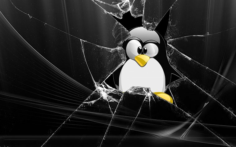 glass, Linux, tux, penguins - desktop wallpaper