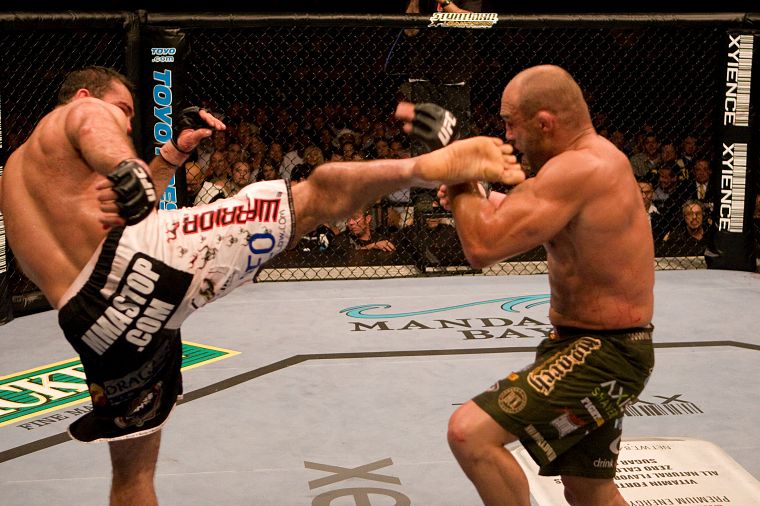 sports, MMA, UFC - desktop wallpaper