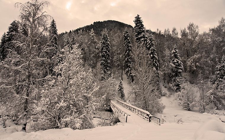 landscapes, winter, snow, trees, bridges, HDR photography, pedestrian bridges - desktop wallpaper