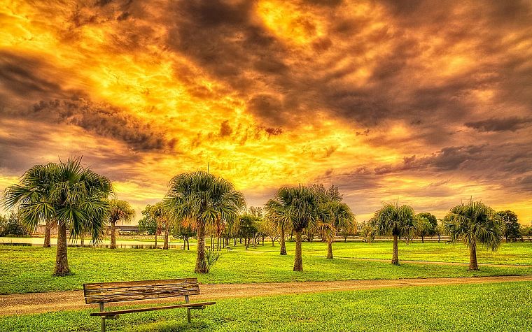 clouds, landscapes, nature, trees, fields, HDR photography, skyscapes - desktop wallpaper