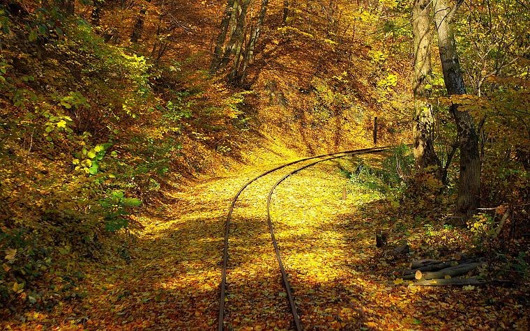 trees, autumn, leaves, railroad tracks - desktop wallpaper
