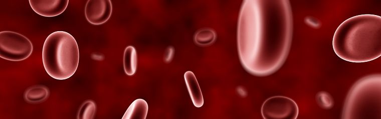 blood, Biology - desktop wallpaper
