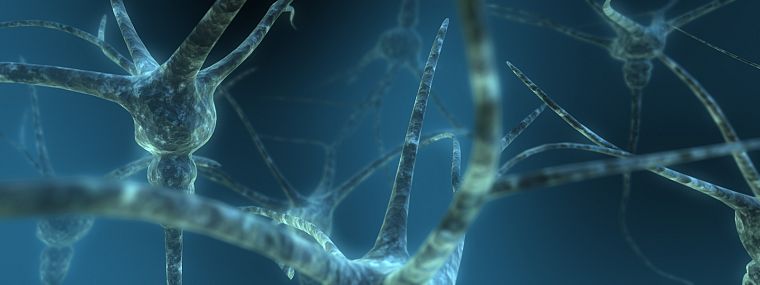 abstract, blue, brain, neurons, nerves - desktop wallpaper